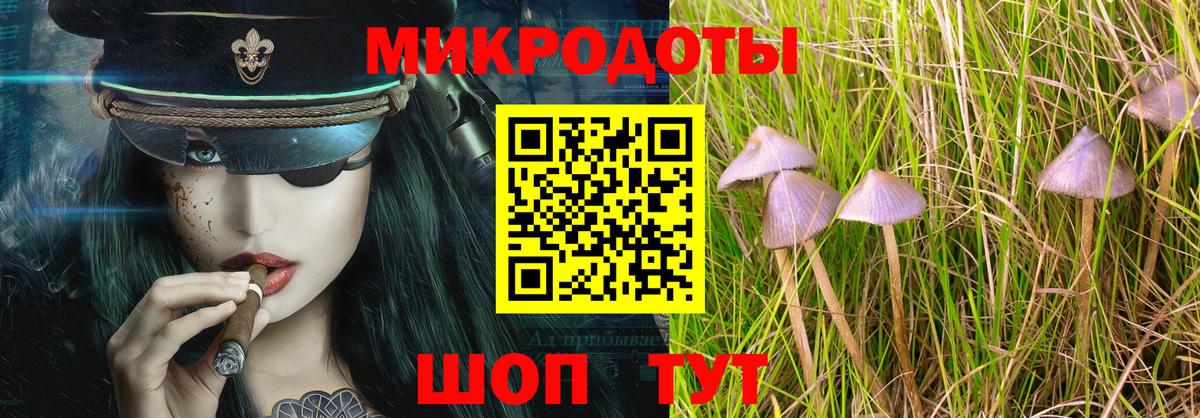 Йошкар-Ола  Псилоцибиновые грибы мицелий  Вход с VPN 